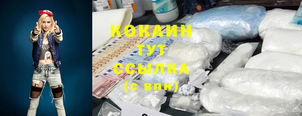кокс Алексин