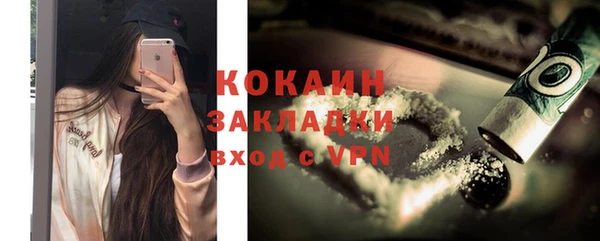 кокс Алексин