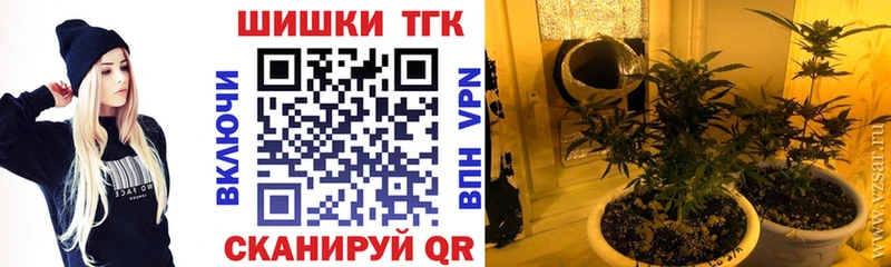 Шишки марихуана сатива  MEGA как войти  Заволжск 